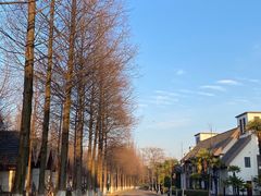 -太阳岛度假酒店