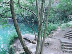 -之江大学-旧址