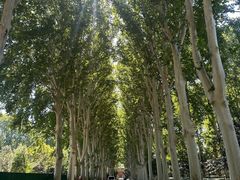 -河南省黄河迎宾馆