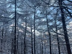-崂山巨峰游览区