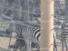 -武汉动物园