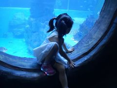-无锡海洋馆