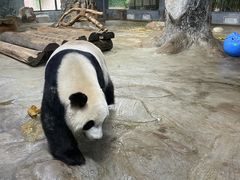 -海南热带野生动植物园