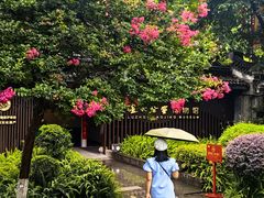-泸州老窖景区