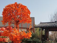 -后湖小院·乡野田园菜