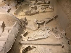 -洛阳周王城天子驾六博物馆