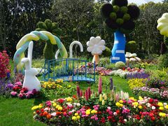 -上海共青森林公园