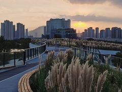 -三垟湿地