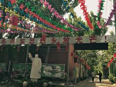 -大狼垡农家院
