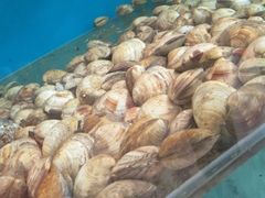 -聚德福海鲜家常菜(刘庄店)