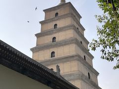 -大慈恩寺(大雁塔)