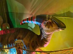 -恐龙探索乐园(磁器口店)