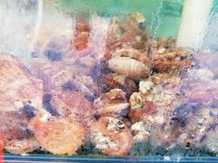 -海岸风情蒸汽海鲜自助餐厅(家宴金手勺店)