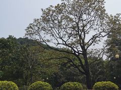 -云溪植物园