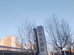 -世东国际