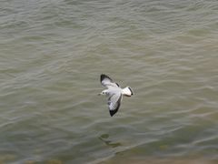 -西台吉乃尔湖