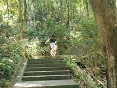 -广州市帽峰山景区