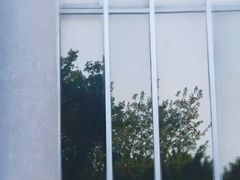 -十九路军淞沪抗日阵亡将士陵园