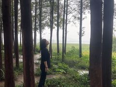 -云龙湖旅游景区