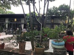 -陶缘一号·四季缘·老字号顺德菜·户外婚礼家宴(西滘店)