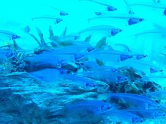 -常州海昌海洋探索馆