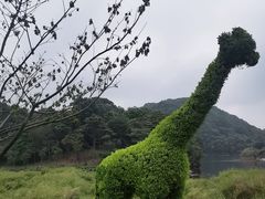 -广州市石门国家森林公园