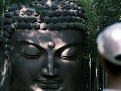 -杭州植物园