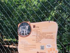 -大连森林动物园