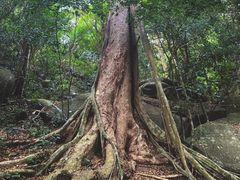 -七仙岭温泉国家森林公园