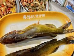 -福田卓悦INTOWN购物中心