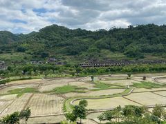 -福建土楼（华安）旅游区•大地土楼群