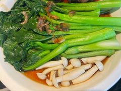 白灼菌菇菜心-新白鹿餐厅(虹桥南丰城店)