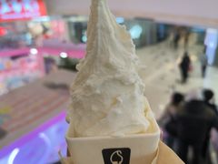 -野人先生Gelato(上海长宁龙之梦店)