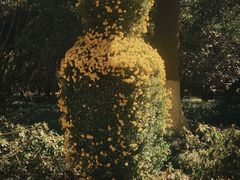 -杭州植物园