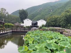 -荷塘味道(水长城店)