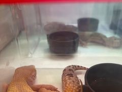 -鹏欣水游城