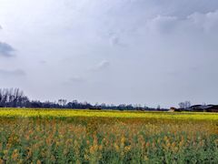 -中国天府农业博览园