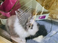 -小意思咖啡店(草桥店)