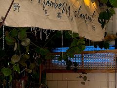 -野草莓自由市场