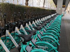 -庆丰包子铺(大红罗厂店)