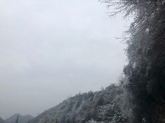 -武陵山森林公园