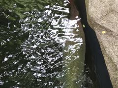 -青青世界