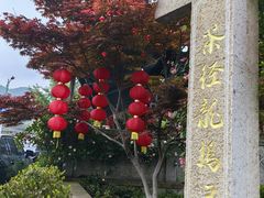 -听风阁农家私房菜茶楼(龙坞店)