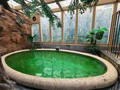 -御池园(顾村公园店)