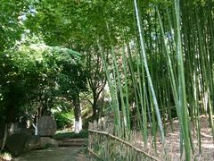 景点-鸡鸣山公园