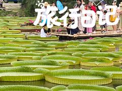 -中国科学院西双版纳热带植物园