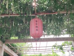 -食家鸽园