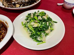 鸡毛菜百叶丝-老吉士酒家(天平路店)