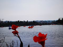 -枫香湖儿童公园