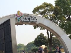 iphone_upload_pic-上海鲜花港